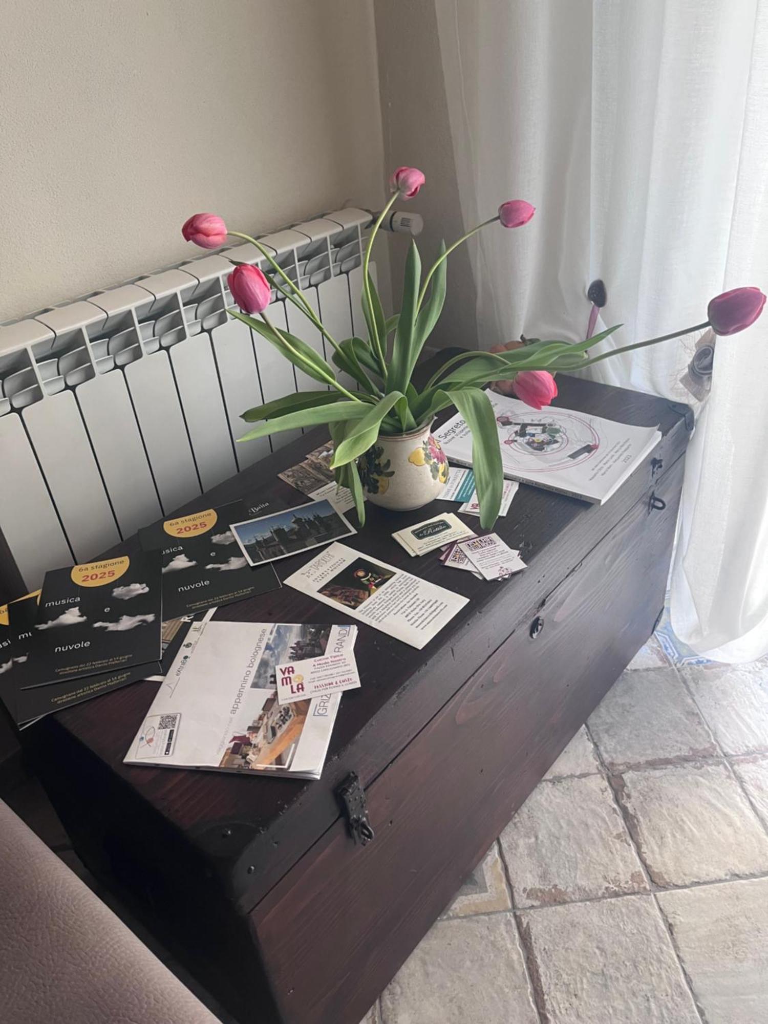 B&B Camelia Camugnano Eksteriør billede